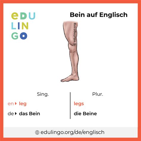 bein stellen englisch|BEIN STELLEN .